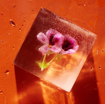 ice cube with flower bud frozen inside on an orange background